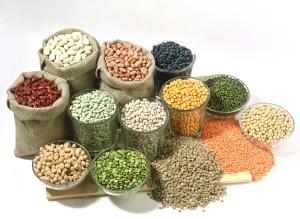 Wheat Flour India