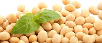 soybean oil manufacturers